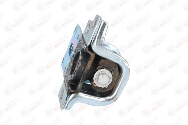 Variklio montavimas BIRTH 51740