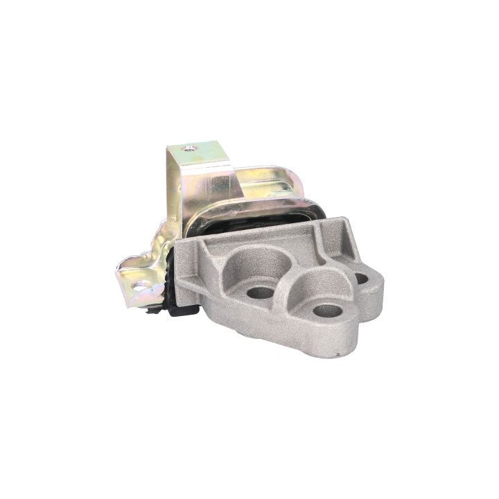 Variklio montavimas BIRTH 51741