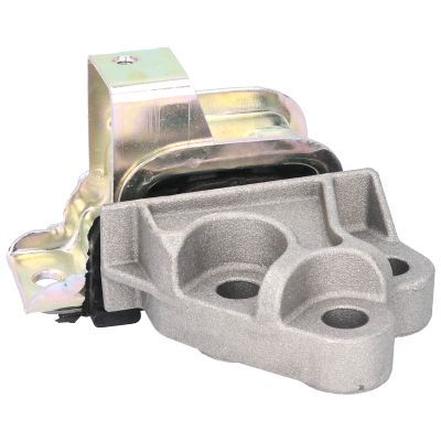 Variklio montavimas BIRTH 51741