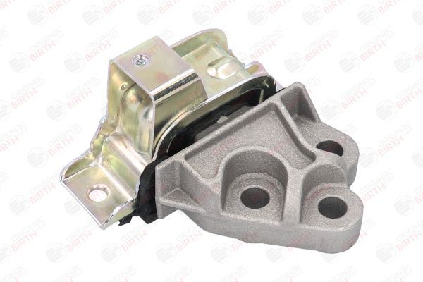 Variklio montavimas BIRTH 51741