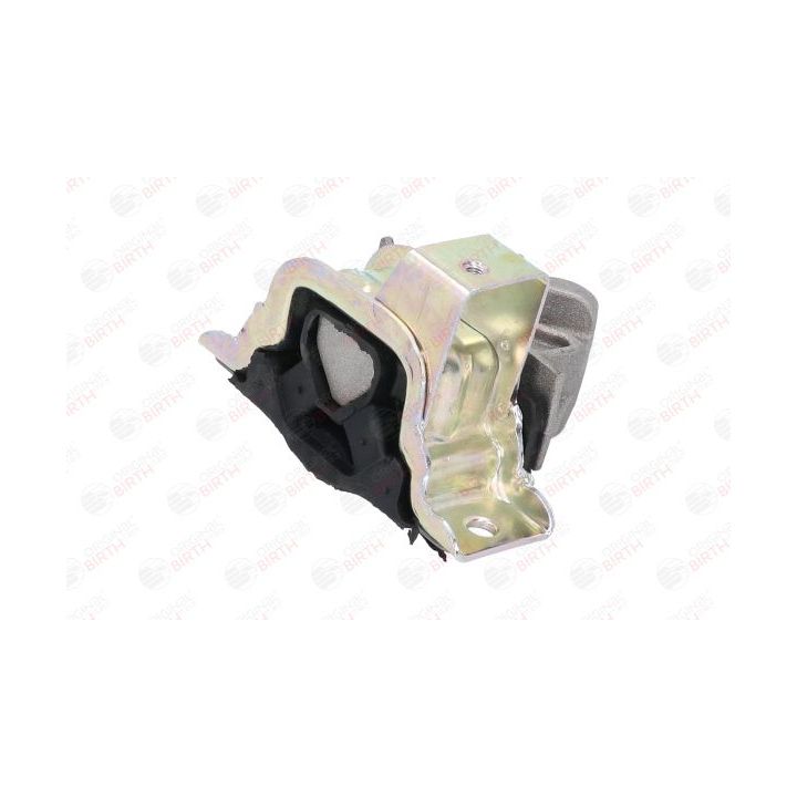 Variklio montavimas BIRTH 51741