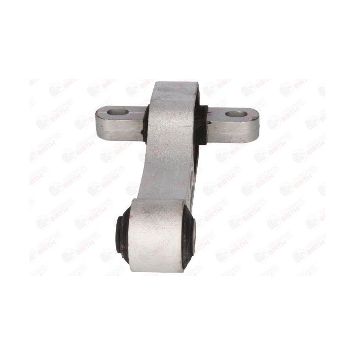 Variklio montavimas BIRTH 51742