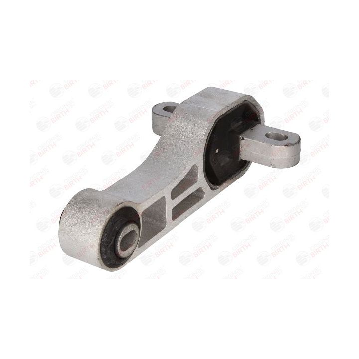 Variklio montavimas BIRTH 51742