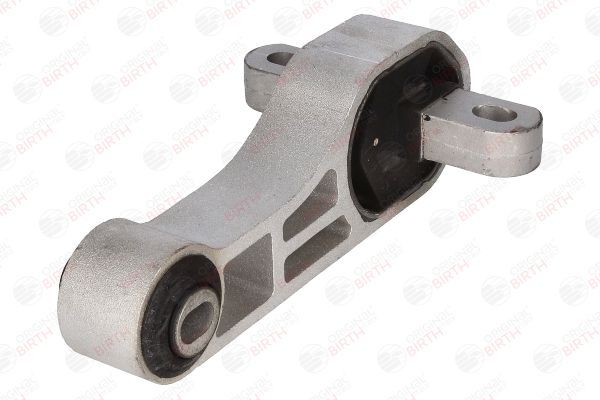 Variklio montavimas BIRTH 51742