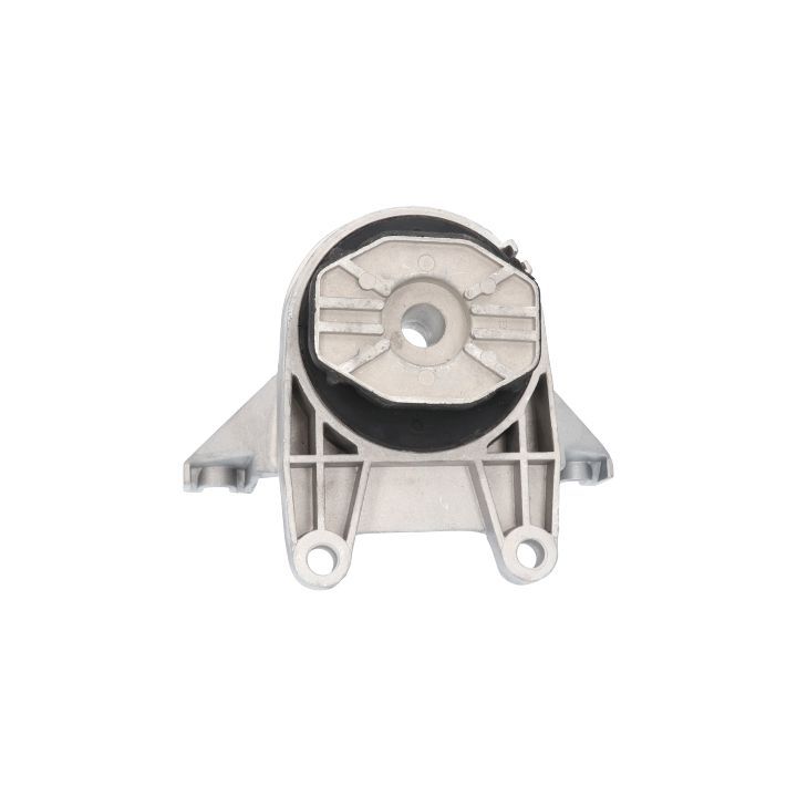 Variklio montavimas BIRTH 51764