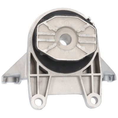 Variklio montavimas BIRTH 51764