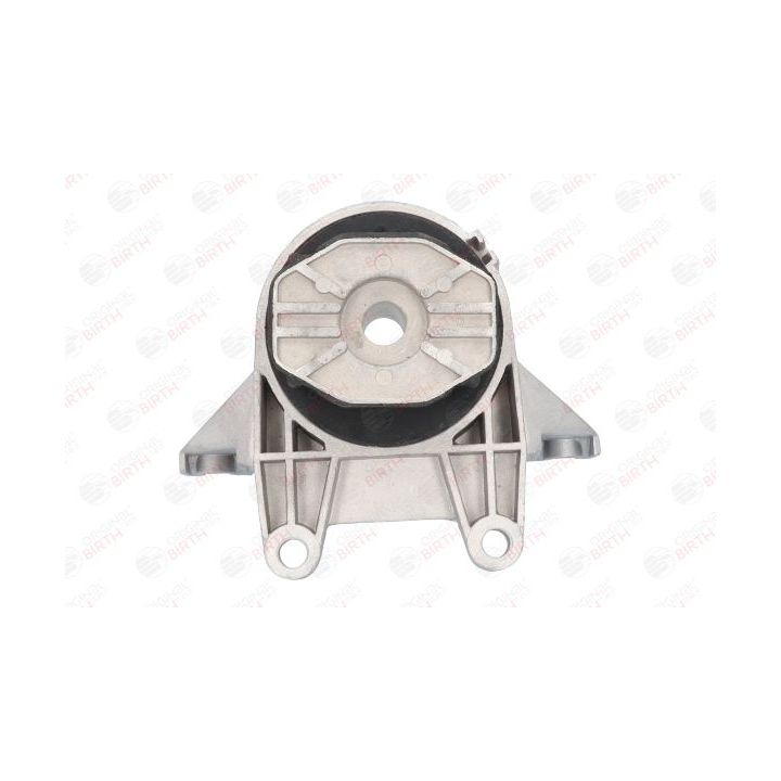 Variklio montavimas BIRTH 51764