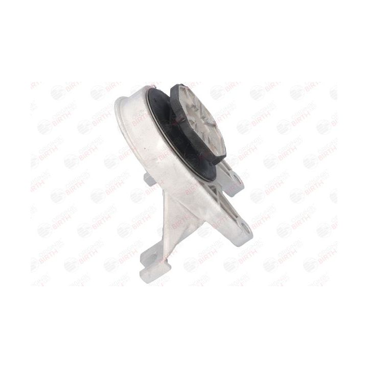 Variklio montavimas BIRTH 51764