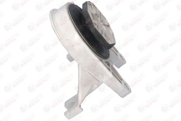 Variklio montavimas BIRTH 51764