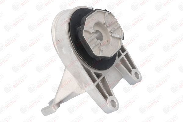 Variklio montavimas BIRTH 51764