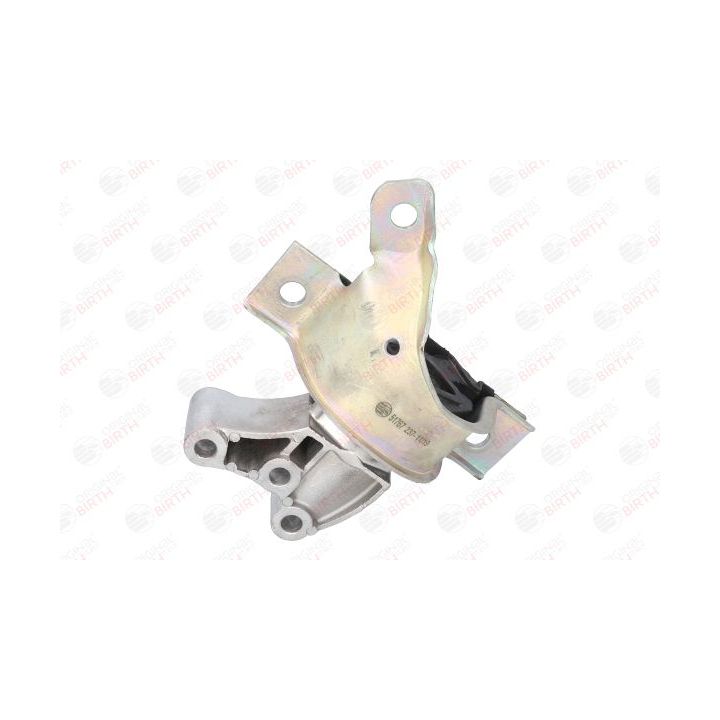 Variklio montavimas BIRTH 51767