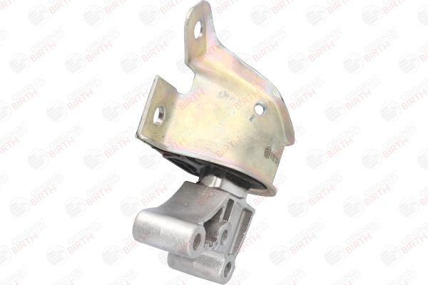 Variklio montavimas BIRTH 51767