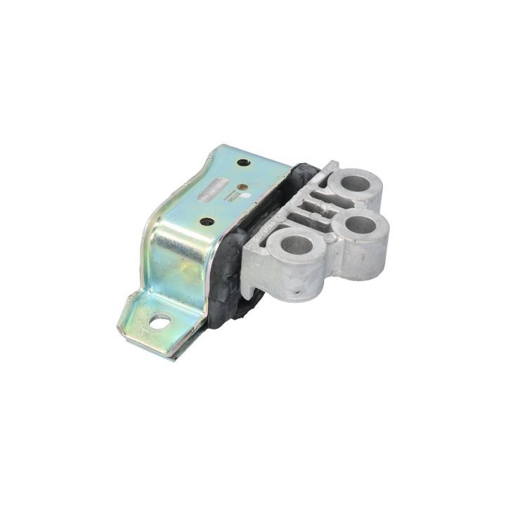 Variklio montavimas BIRTH 51796