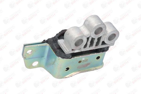 Variklio montavimas BIRTH 51796