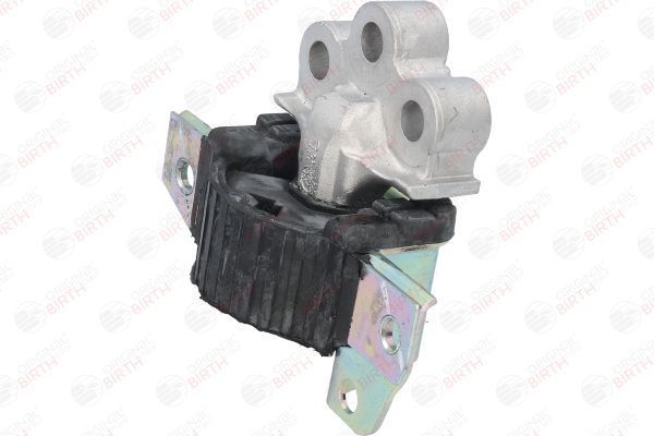 Variklio montavimas BIRTH 51796