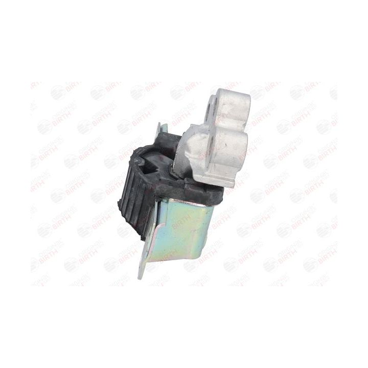 Variklio montavimas BIRTH 51796