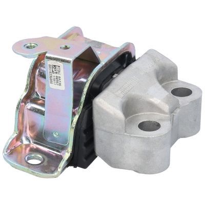 Variklio montavimas BIRTH 51798