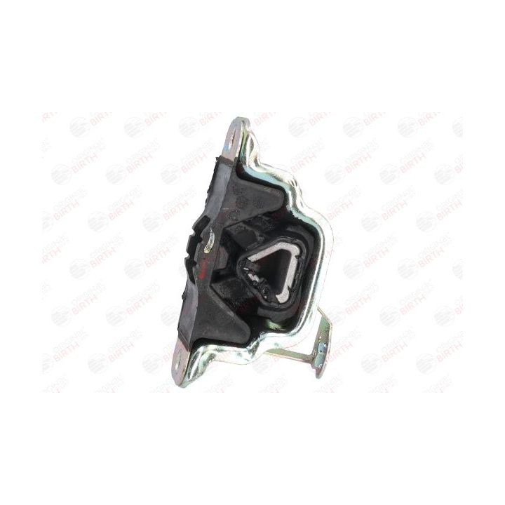 Variklio montavimas BIRTH 51798