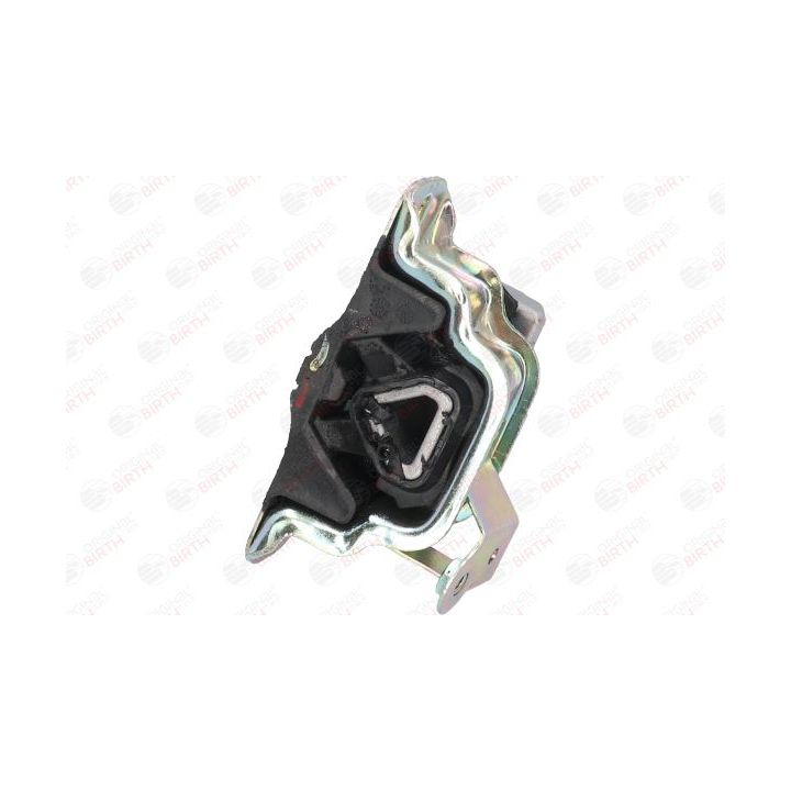 Variklio montavimas BIRTH 51798