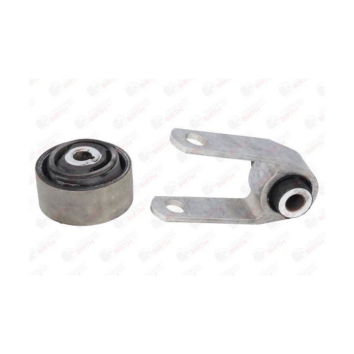 Variklio montavimas BIRTH 51856