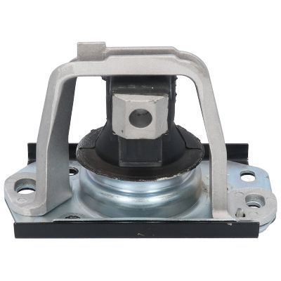 Variklio montavimas BIRTH 51887