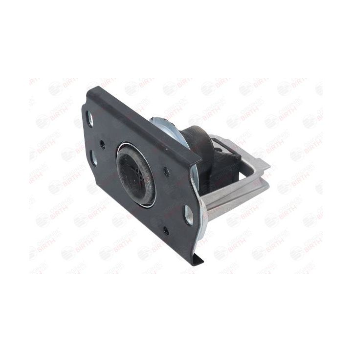 Variklio montavimas BIRTH 51887