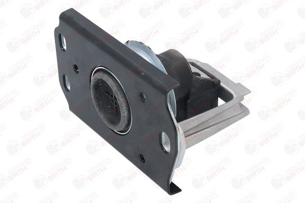 Variklio montavimas BIRTH 51887