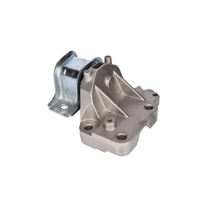 Variklio montavimas BIRTH 51890