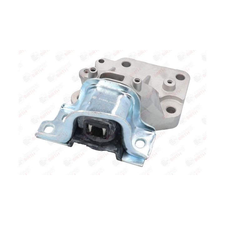 Variklio montavimas BIRTH 51890