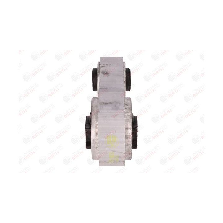 Variklio montavimas BIRTH 51979