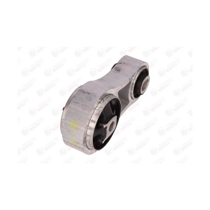 Variklio montavimas BIRTH 51979