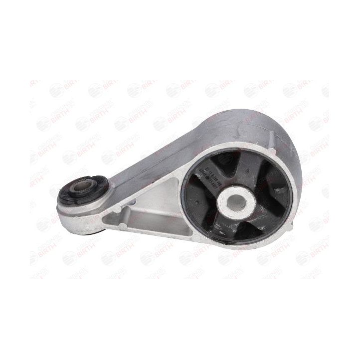 Variklio montavimas BIRTH 52040