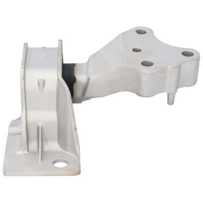 Variklio montavimas BIRTH 52067