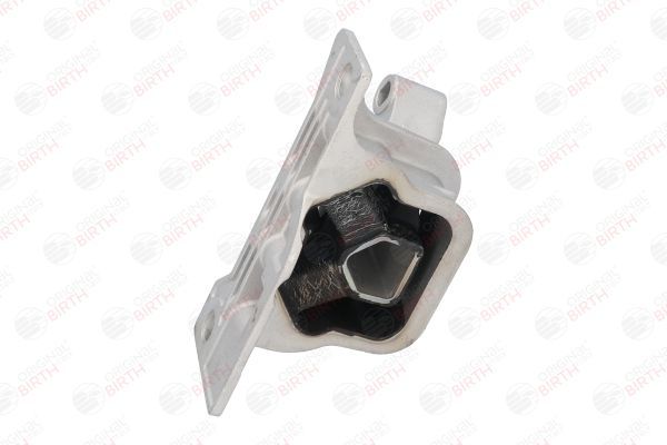 Variklio montavimas BIRTH 52067