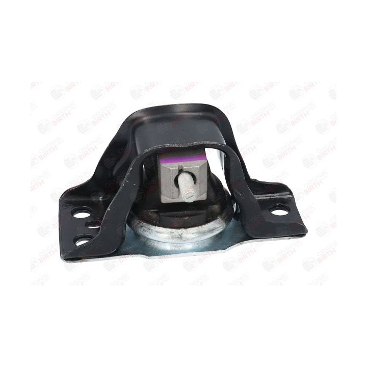 Variklio montavimas BIRTH 52101