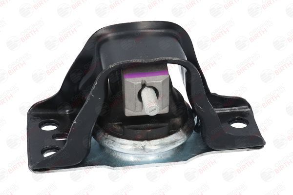 Variklio montavimas BIRTH 52101