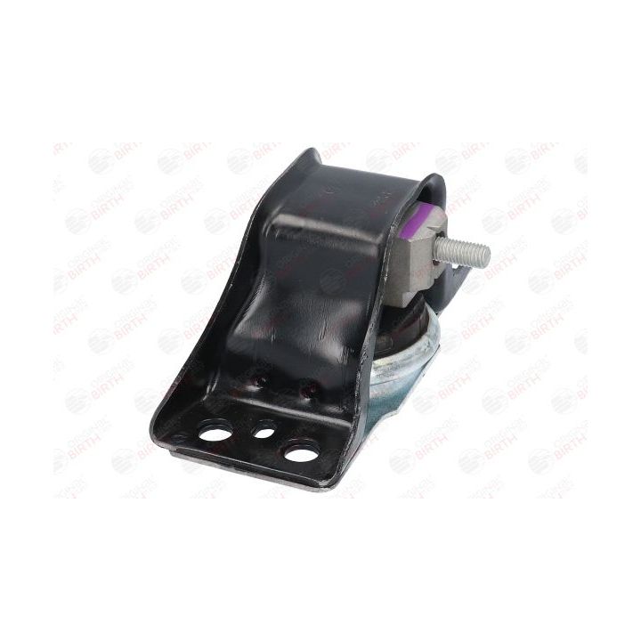 Variklio montavimas BIRTH 52101