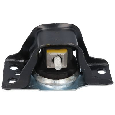 Variklio montavimas BIRTH 52102