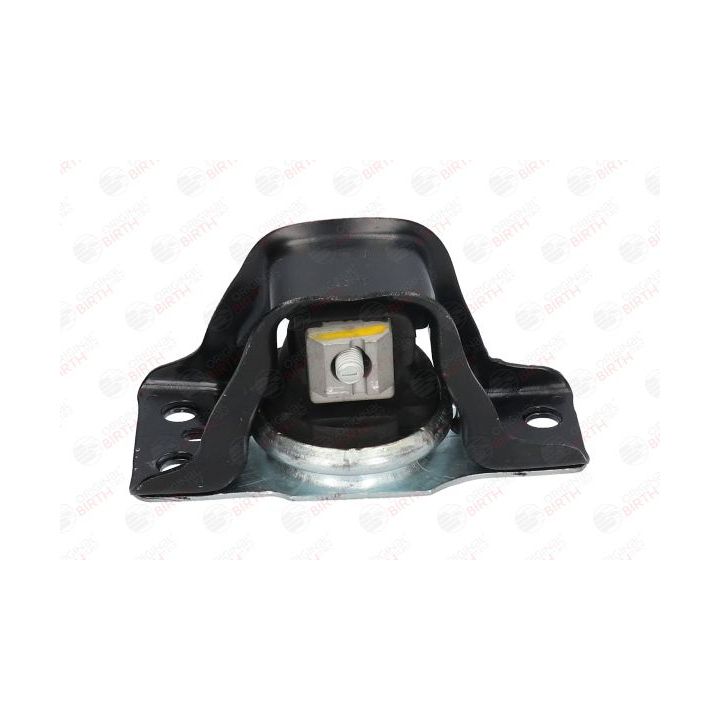 Variklio montavimas BIRTH 52102