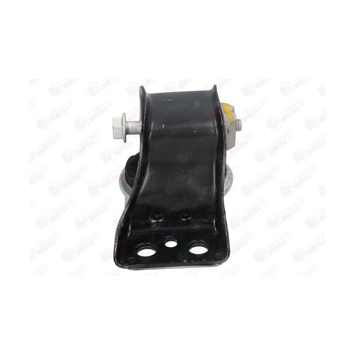 Variklio montavimas BIRTH 52102