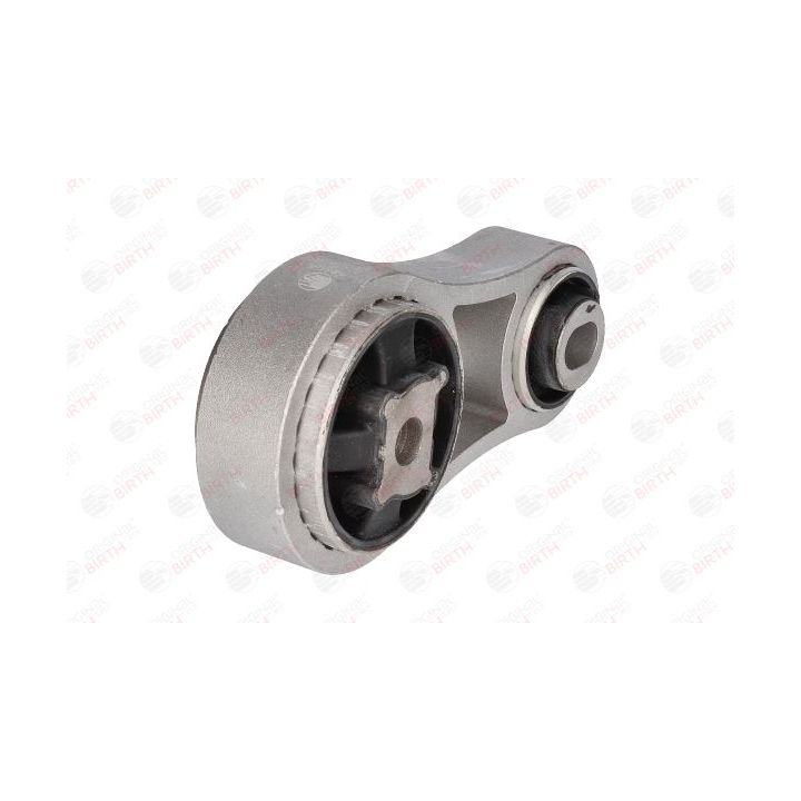 Variklio montavimas BIRTH 52104