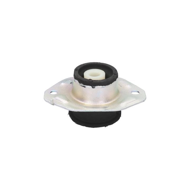 Variklio montavimas BIRTH 52108