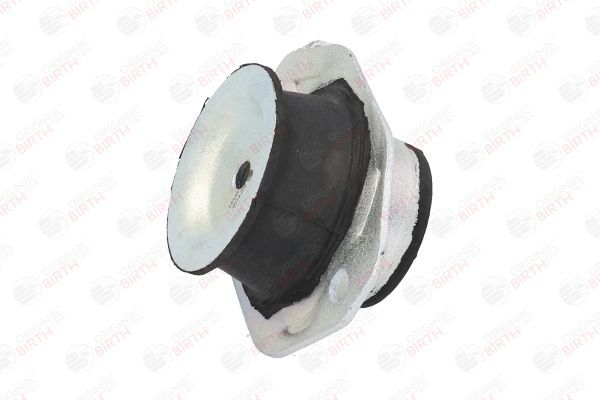 Variklio montavimas BIRTH 52108