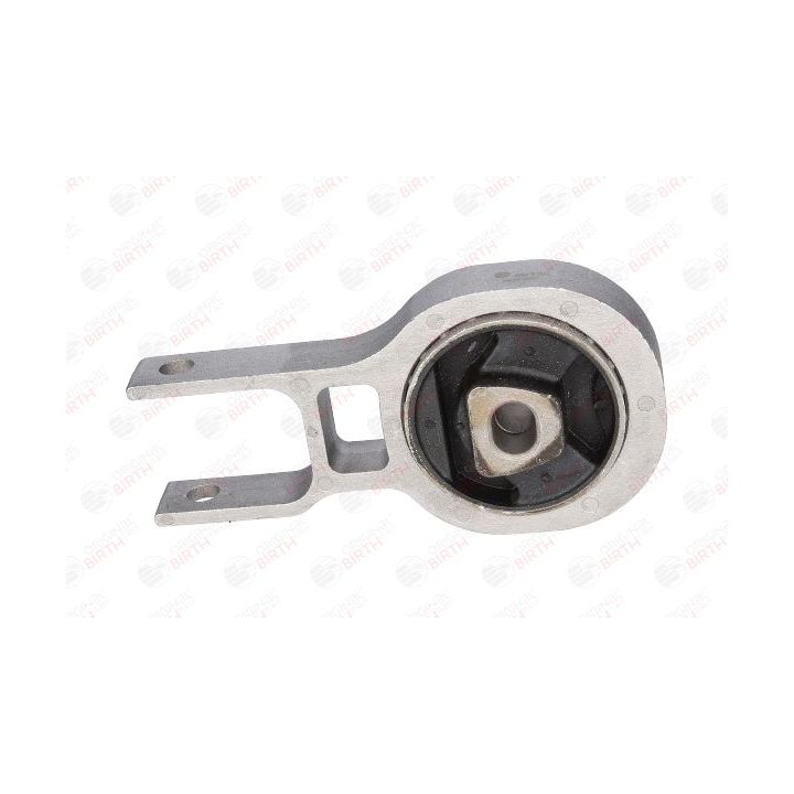 Variklio montavimas BIRTH 52135