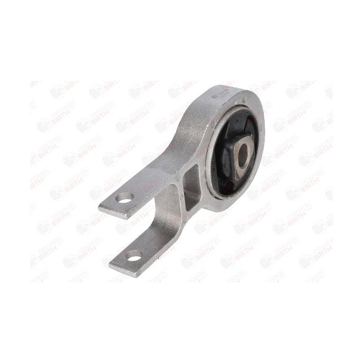 Variklio montavimas BIRTH 52135