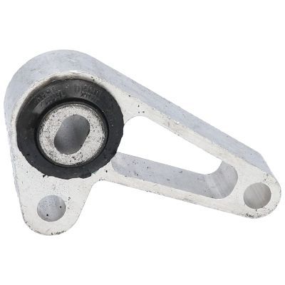 Variklio montavimas BIRTH 52136