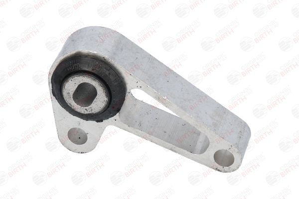 Variklio montavimas BIRTH 52136