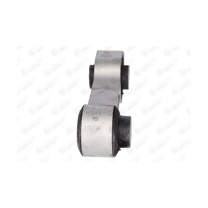 Variklio montavimas BIRTH 52137