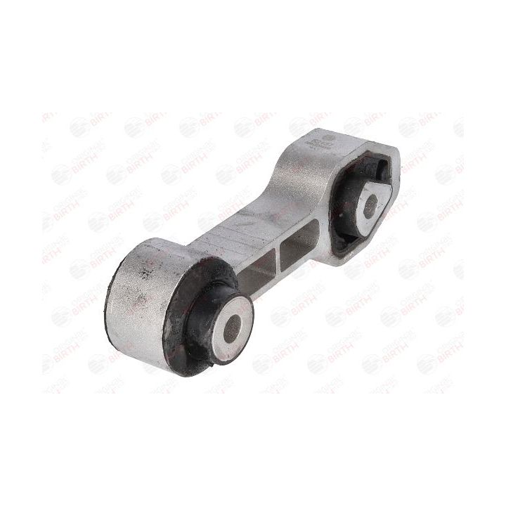 Variklio montavimas BIRTH 52137