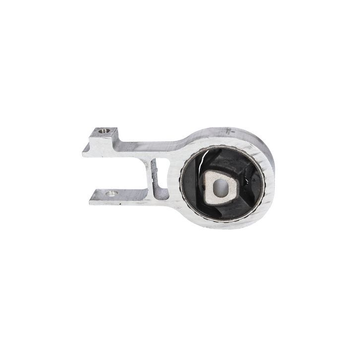 Variklio montavimas BIRTH 52138